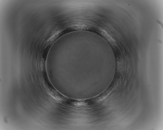 X0000097290165200802151423