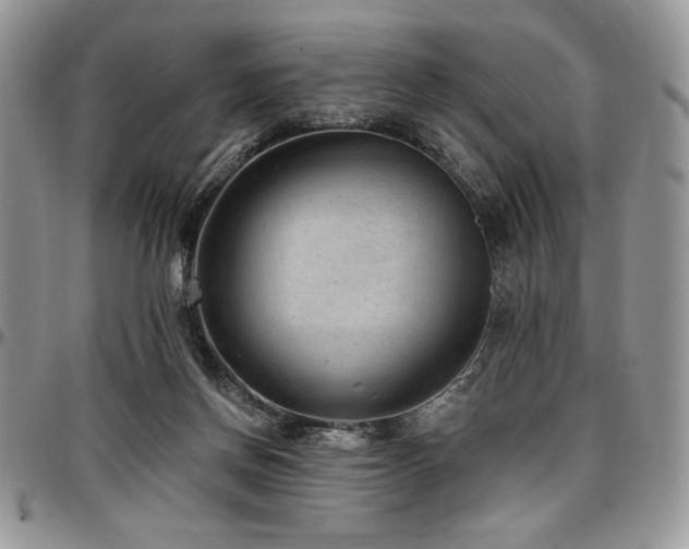 X0000097290166200802151423