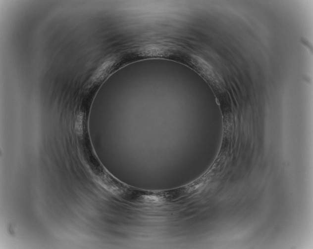 X0000097290167200802151424