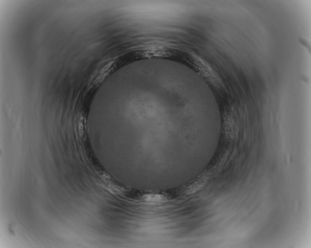 X0000097290169200802151424