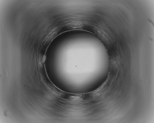 X0000097290170200802151424