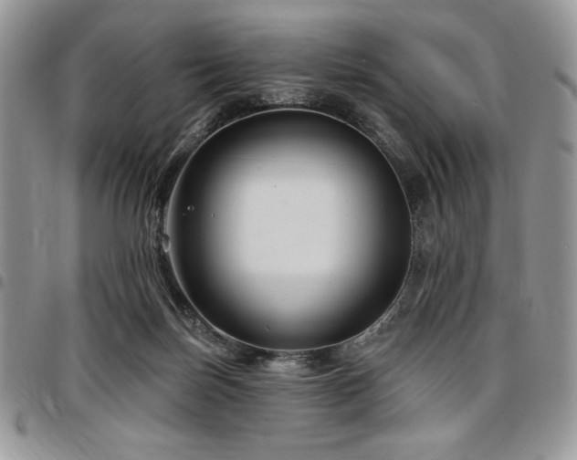 X0000097290171200802151424