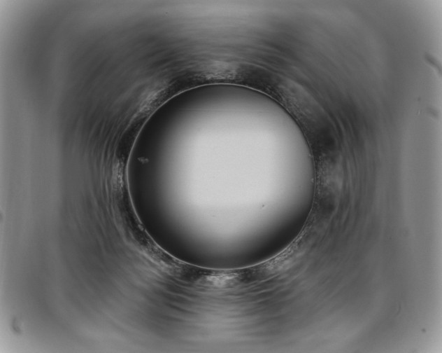 X0000097290172200802151424