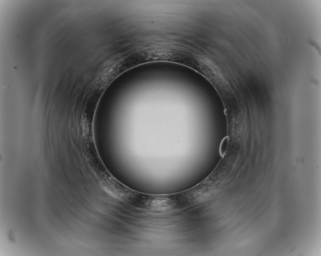 X0000097290173200802151424