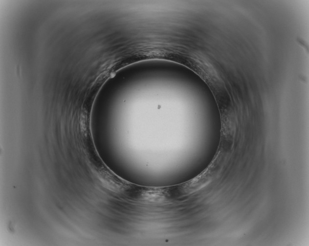 X0000097290175200802151424