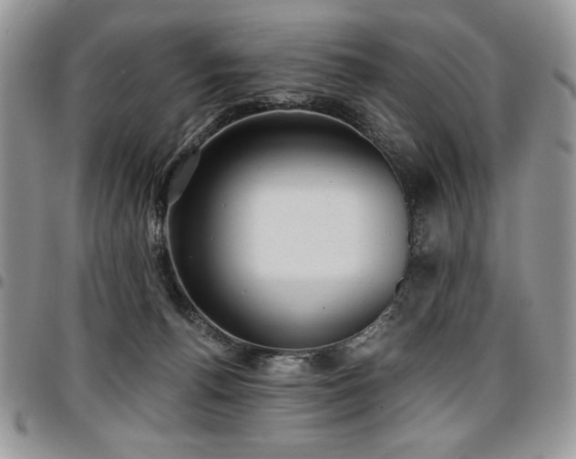 X0000097290176200802151424