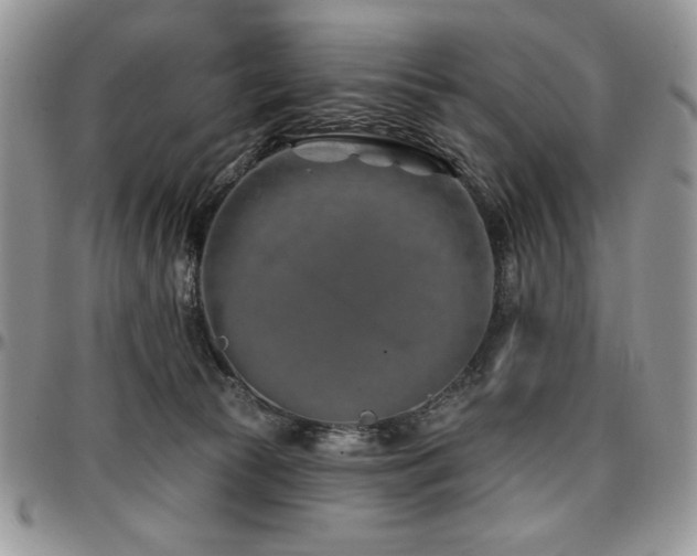 X0000097290177200802151424