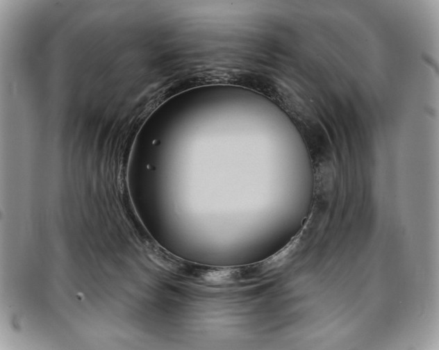 X0000097290178200802151424
