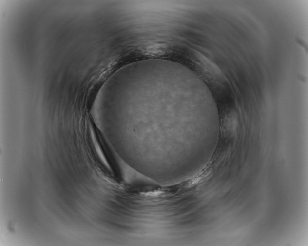 X0000097290180200802151424