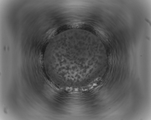 X0000097290181200802151424