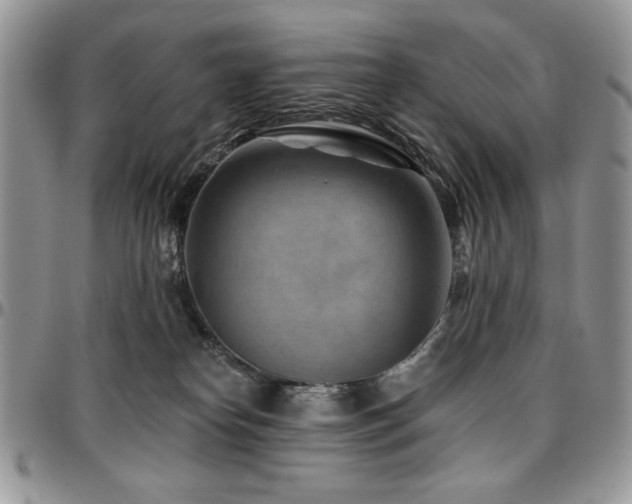 X0000097290182200802151424