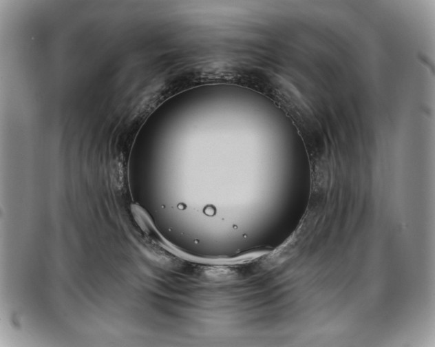 X0000097290183200802151424