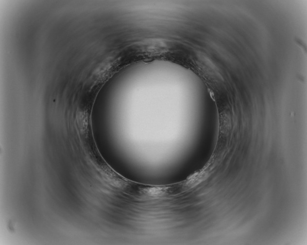 X0000097290184200802151424