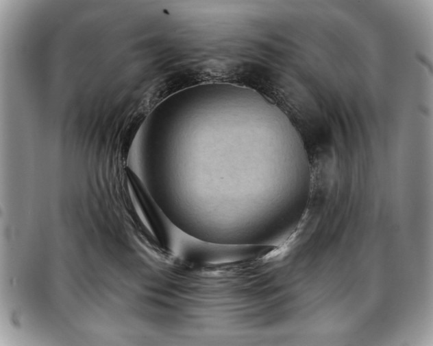 X0000097290186200802151424