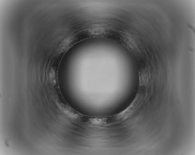 X0000097290187200802151424