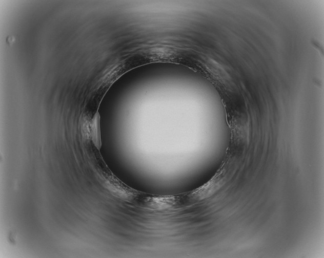 X0000097290188200802151424