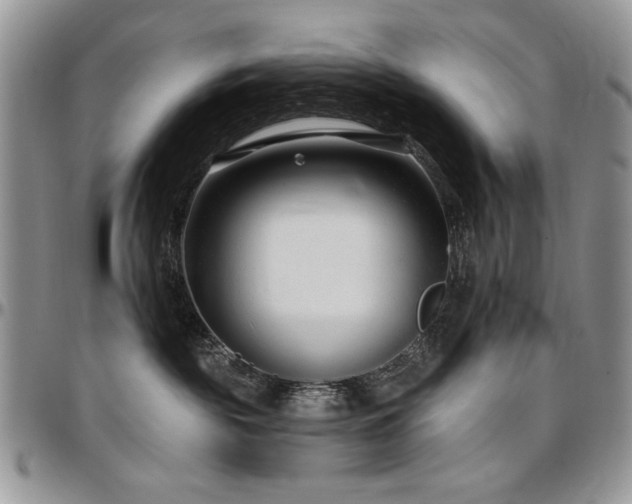 X0000097290189200802151424