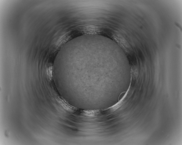 X0000097290190200802151424