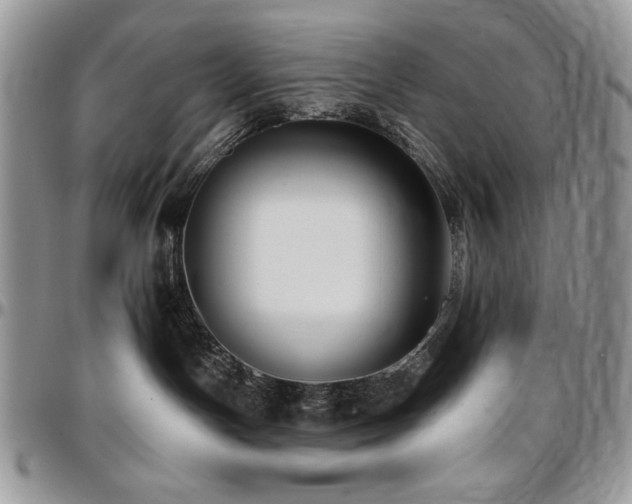X0000097290191200802151424