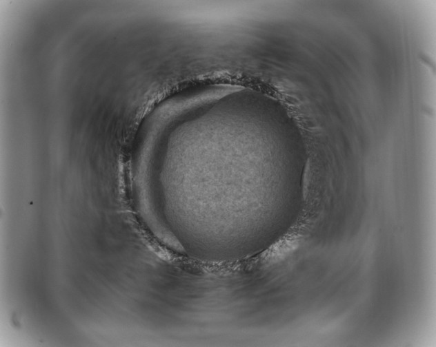 X0000097290192200802151424