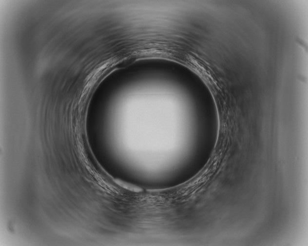 X0000097290193200802151423