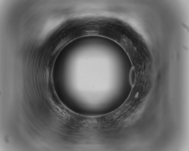 X0000097290194200802151423
