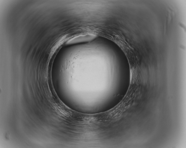X0000097290195200802151423