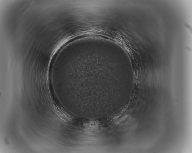 X0000097290196200802151423