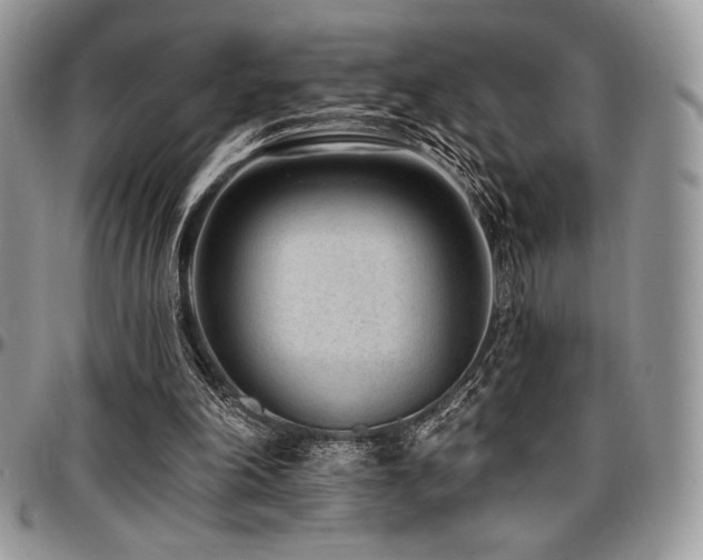 X0000097290198200802151423