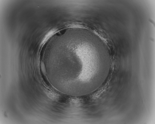X0000097290199200802151423