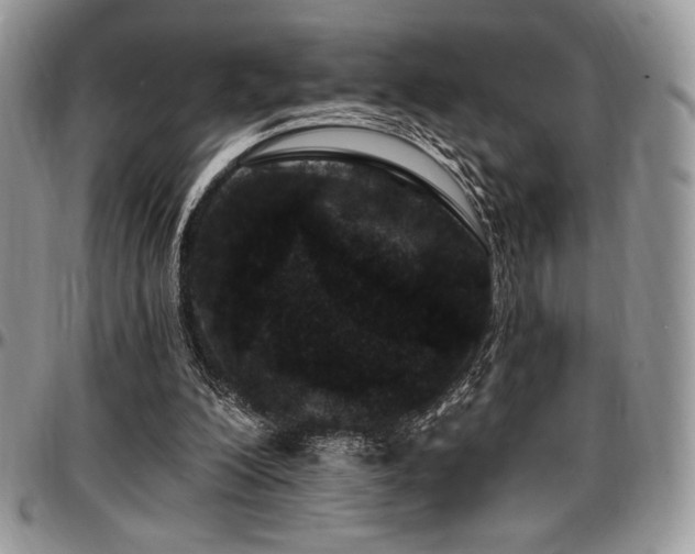 X0000097290200200802151423