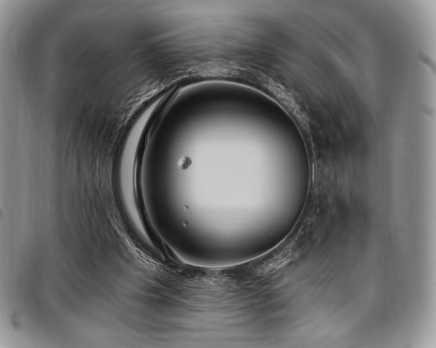 X0000097290201200802151423