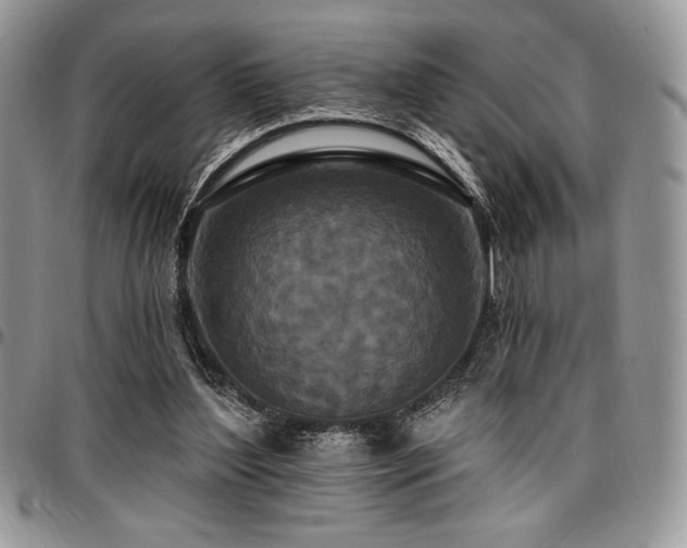 X0000097290204200802151423