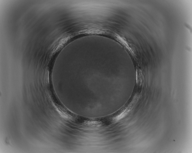 X0000097290205200802151423