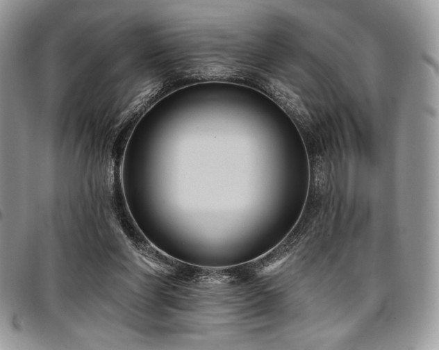 X0000097290206200802151423