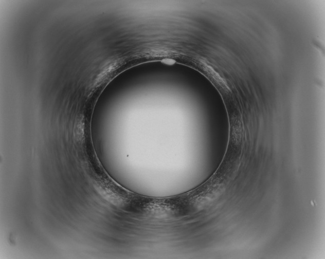 X0000097290207200802151423