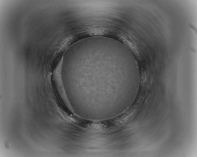 X0000097290209200802151423