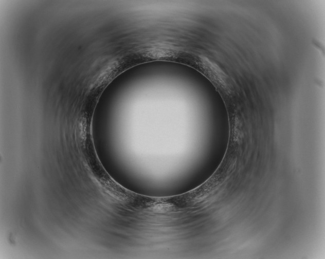 X0000097290210200802151423