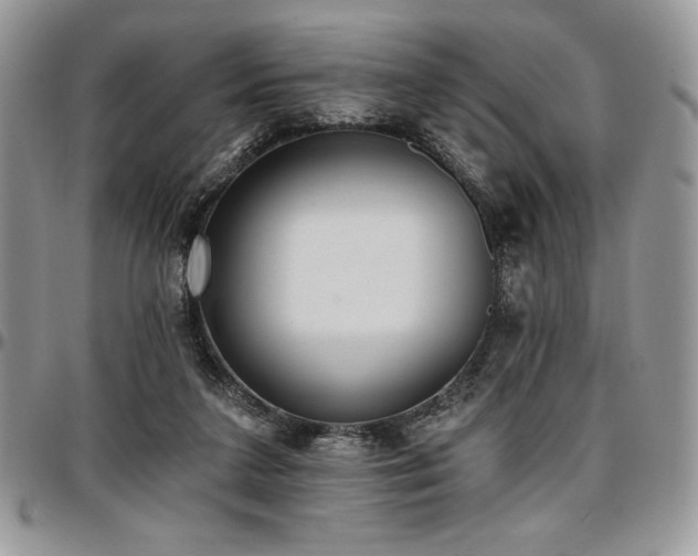 X0000097290211200802151423
