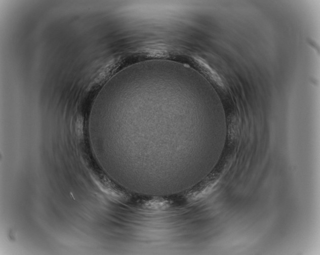 X0000097290213200802151423