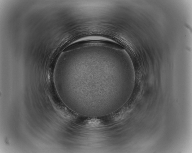 X0000097290214200802151423