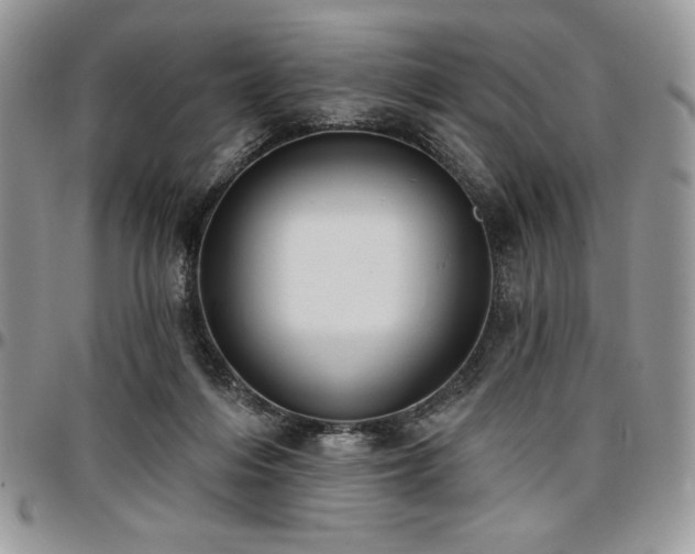 X0000097290216200802151423