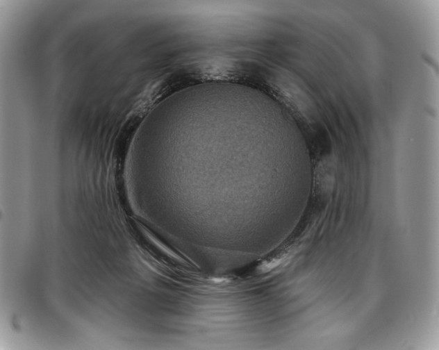 X0000097290217200802151423