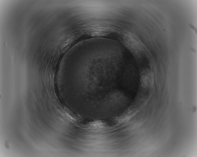 X0000097290219200802151423