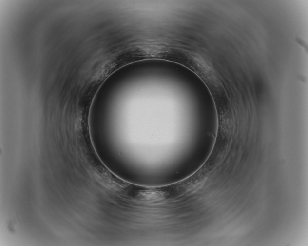 X0000097290221200802151423