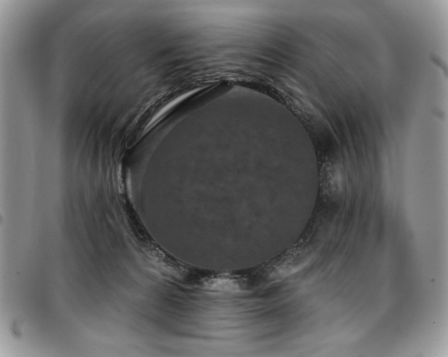 X0000097290224200802151423