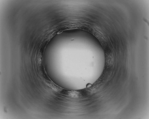 X0000097290226200802151423