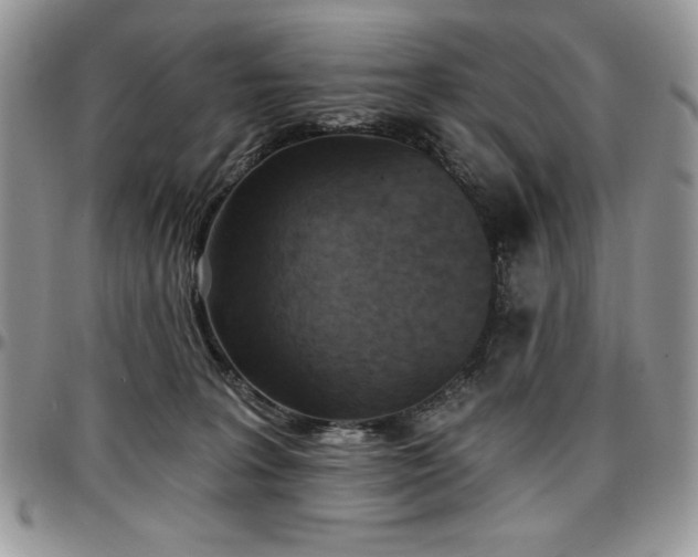 X0000097290227200802151423