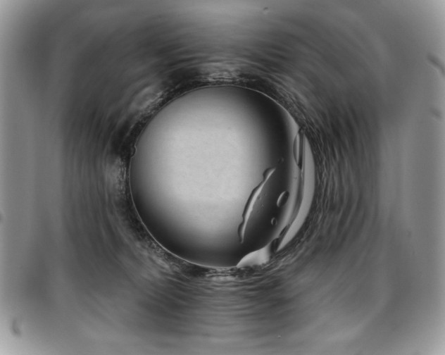 X0000097290228200802151423