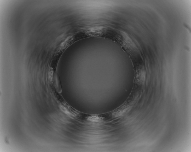 X0000097290231200802151422